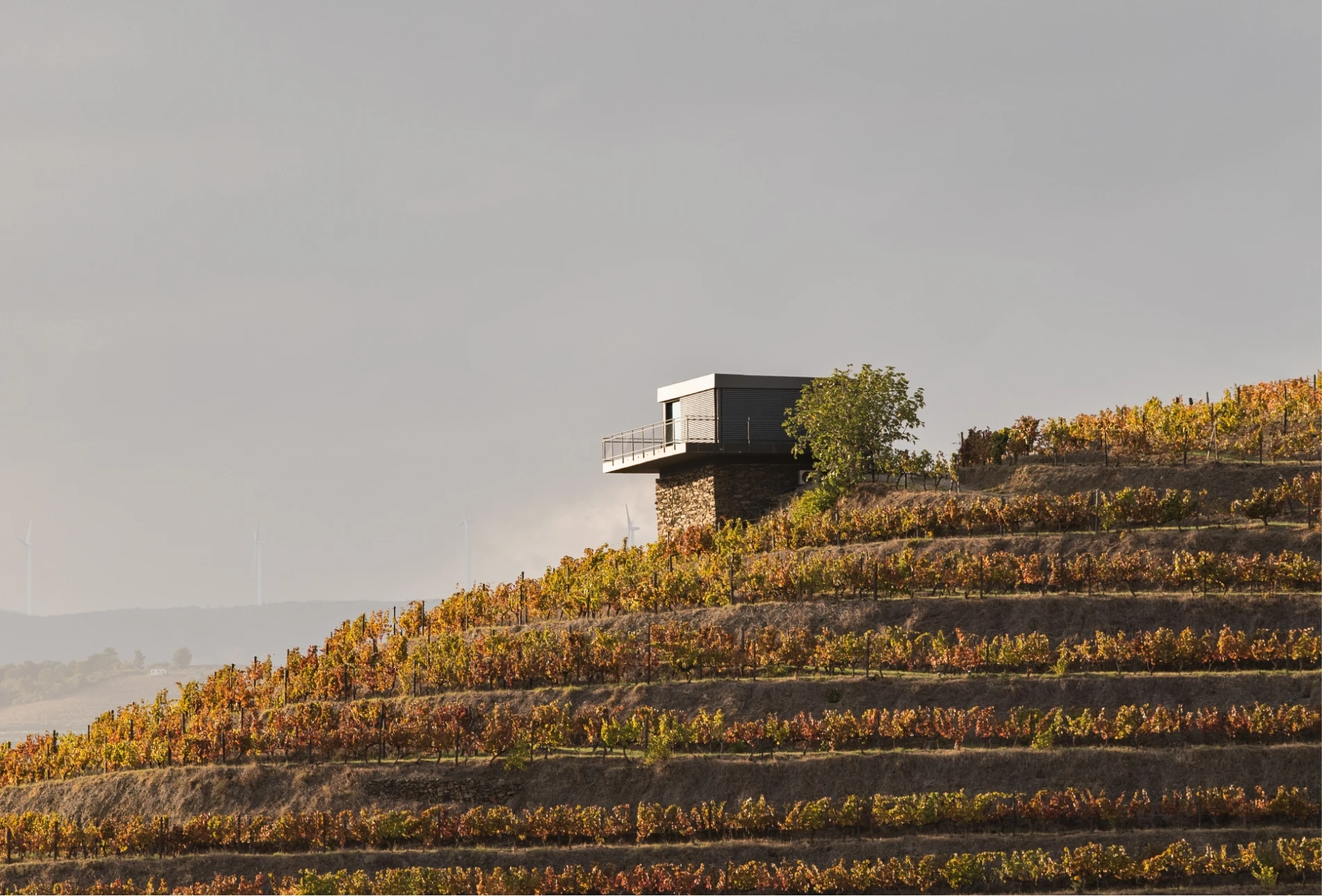 The Winery