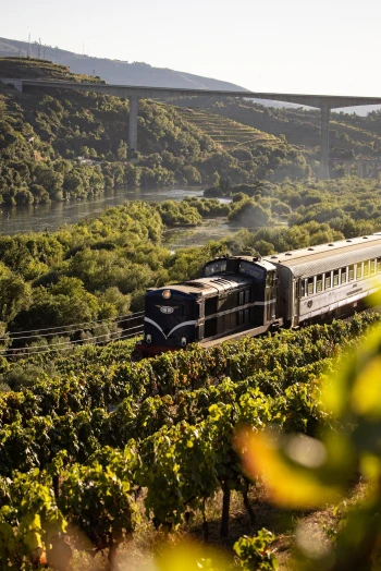 Douro