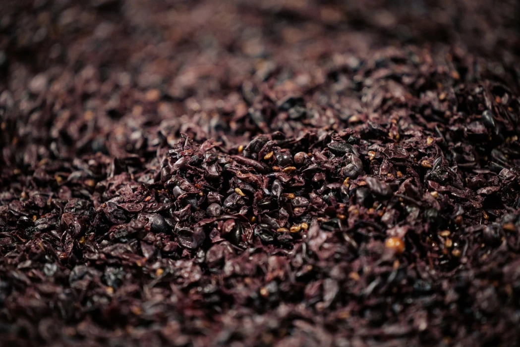 The Quinta da Vacaria winery is a perfect combination of tradition and innovation