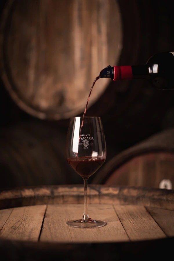 The Quinta da Vacaria winery is a perfect combination of tradition and innovation